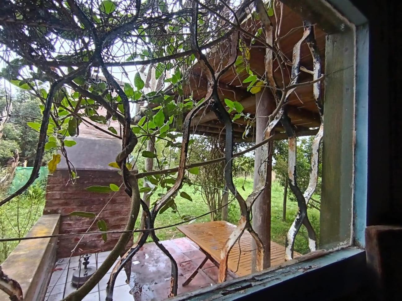 Casas Punta Negra Villa Piriápolis Eksteriør bilde