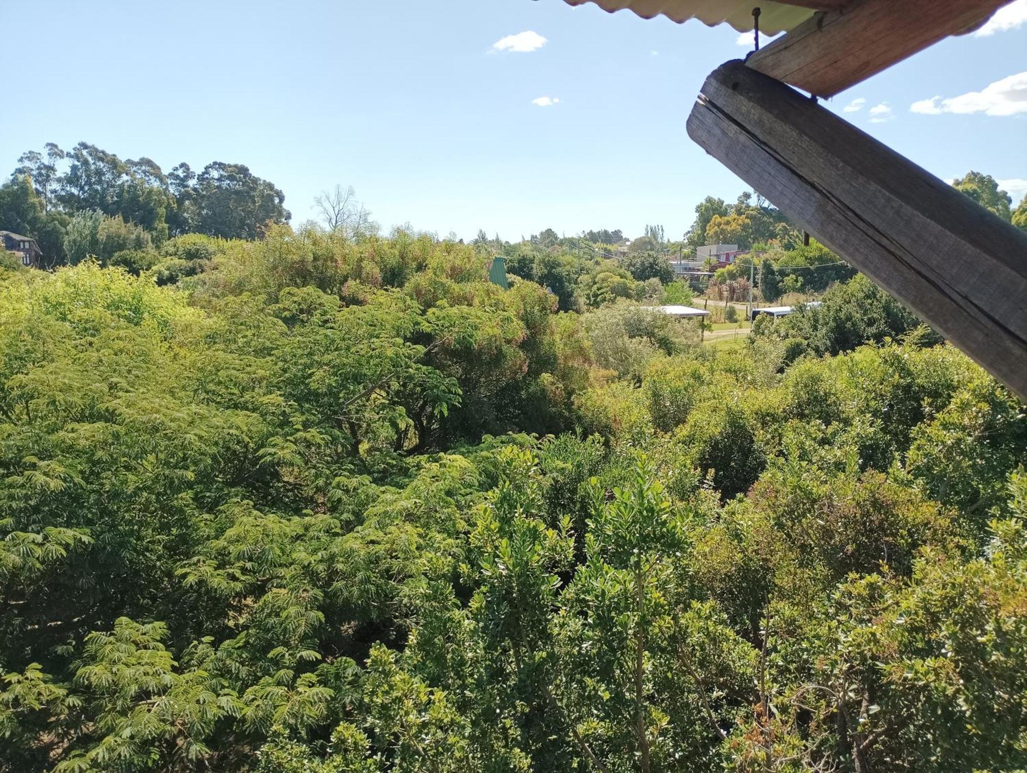 Casas Punta Negra Villa Piriápolis Eksteriør bilde